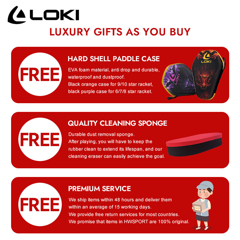 LOKI DRAGON 10 STAR Racchetta  - Table Tennis Movie recensione e prezzo