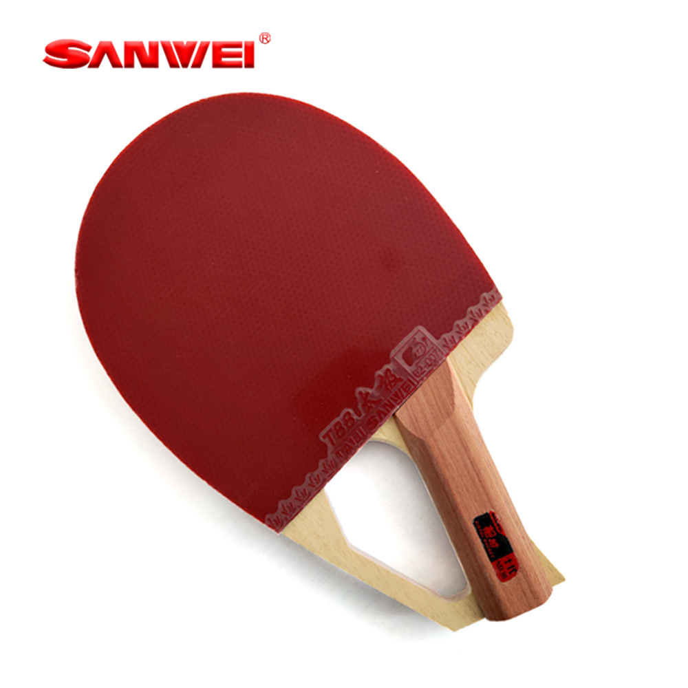 Racchetta da Ping Pong Profess - Table Tennis Blades recensione e prezzo